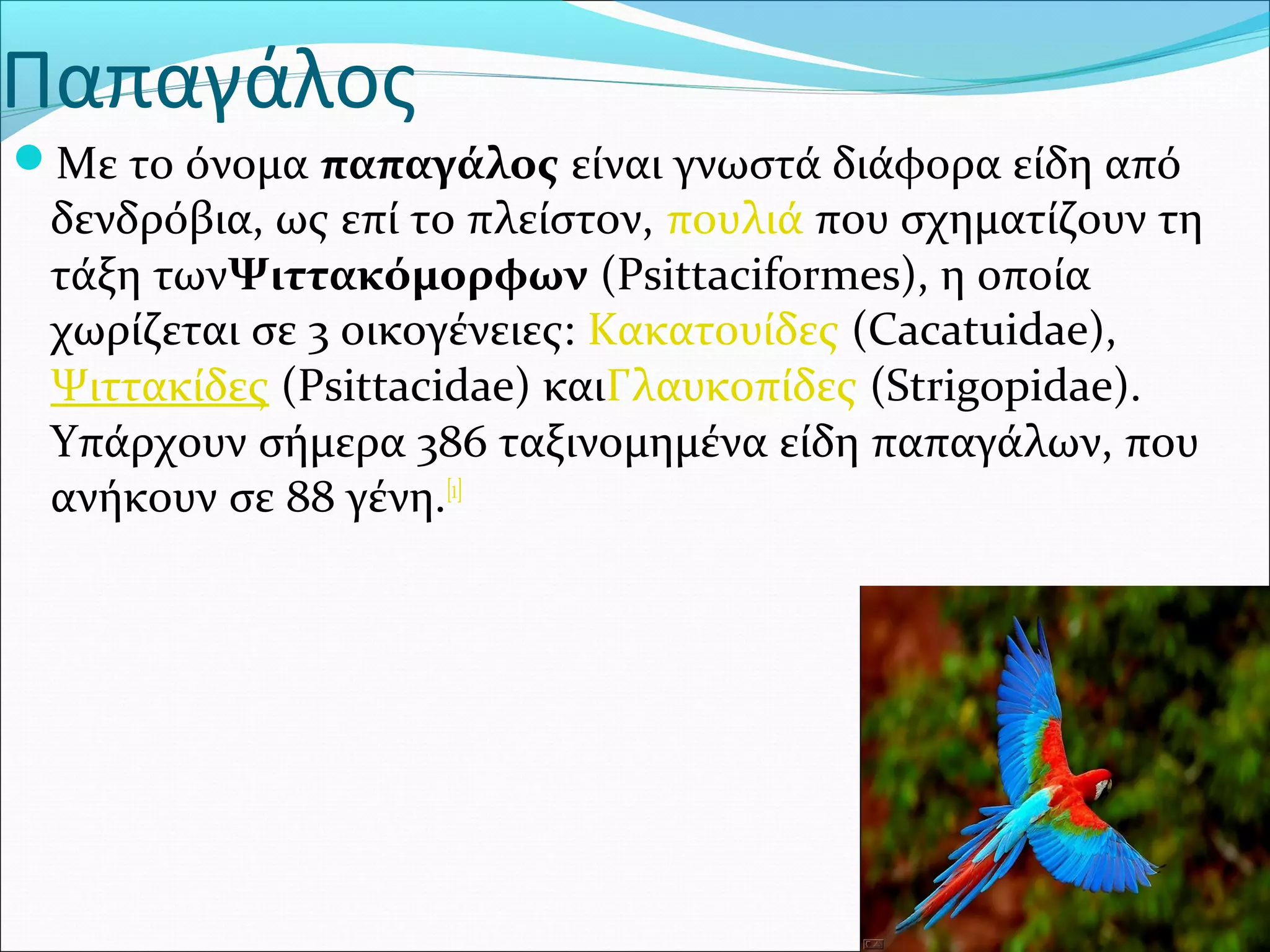 Παπαγάλος
Με το όνομα παπαγάλος είναι γνωστά διάφορα είδη από 
δενδρόβια, ως επί το πλείστον, πουλιά που σχηματίζουν τη 
τάξη τωνΨιττακόμορφων (Psittaciformes), η οποία 
χωρίζεται σε 3 οικογένειες: Κακατουίδες (Cacatuidae), 
Ψιττακίδες (Psittacidae) καιΓλαυκοπίδες (Strigopidae). 
Υπάρχουν σήμερα 386 ταξινομημένα είδη παπαγάλων, που 
ανήκουν σε 88 γένη.[1]
 