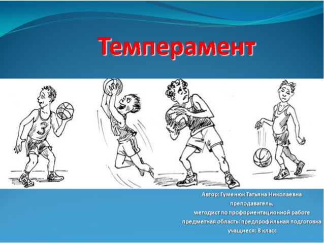 темперамент