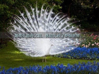 驚慌失措的父親，恍如失掉了整個世界。驚慌失措的父親，恍如失掉了整個世界。
 