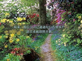 原來，電信公司已通過短信告知客 ，戶原來，電信公司已通過短信告知客 ，戶
語音系統即將升級，語音系統即將升級，
 