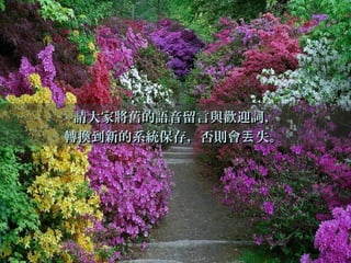 請大家將舊的語音留言與歡迎詞，請大家將舊的語音留言與歡迎詞，
轉換到新的系統保存，否則會 失。丟轉換到新的系統保存，否則會 失。丟
 