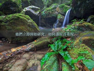 他們立即開始研究，如何讓原音重現。他們立即開始研究，如何讓原音重現。
 