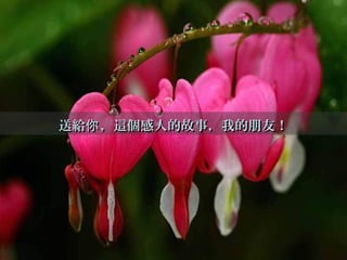 送給 ，這個感人的故事，我的朋友！你送給 ，這個感人的故事，我的朋友！你
 