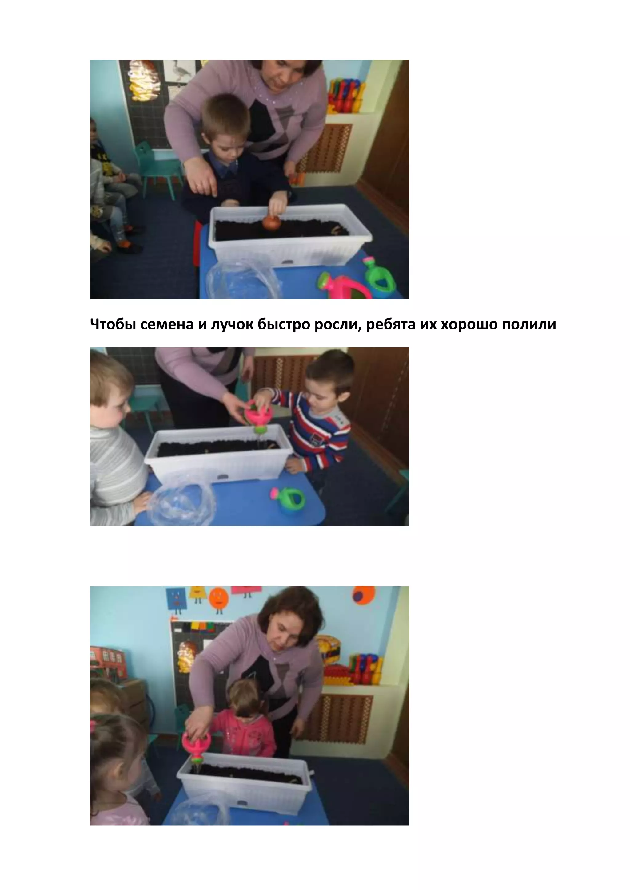 Чтобы семена и лучок быстро росли, ребята их хорошо полили
 