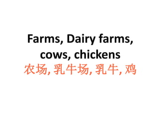 Farms, Dairy farms,
cows, chickens
农场, 乳牛场, 乳牛, 鸡
 