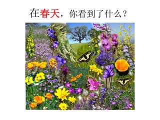 在春天，你看到了什么？
 