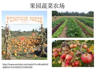 果园蔬菜农场
http://www.youtube.com/watch?v=xRrwWzfcF
60&list=PL21429C15719EC509
 