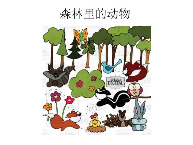 森林里的动物 森林里的动物