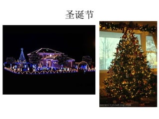 圣诞节
 