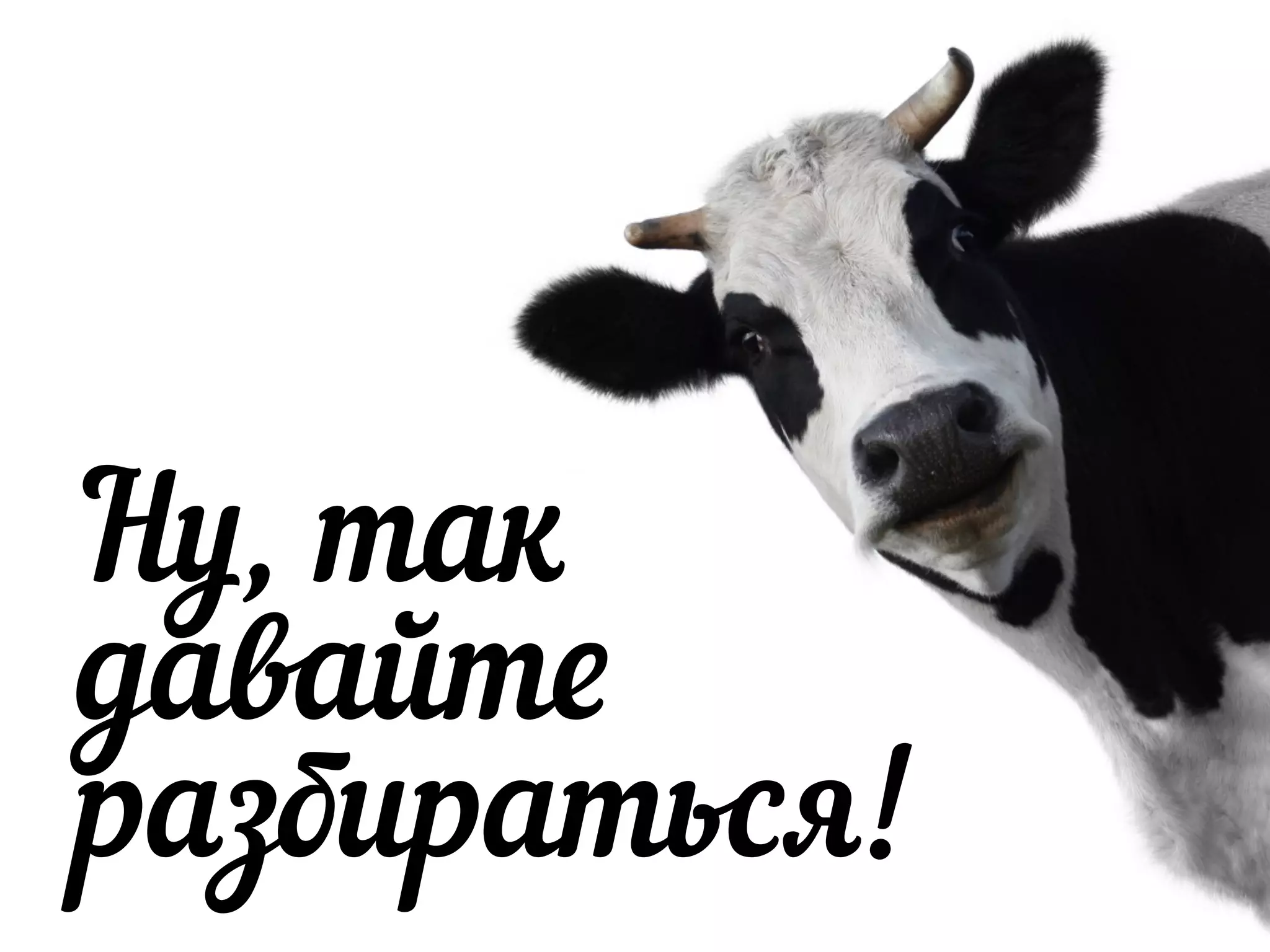 Ну, так
давайте
разбираться!
 