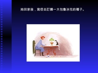 她回家後，寫信去訂購一大包魯冰花的種子。
 