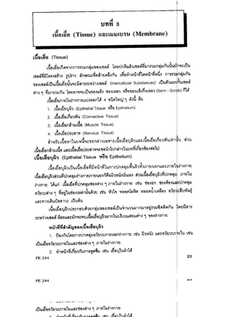 ๶Ȩ้อ๶ยื่อและเมม๶บรน