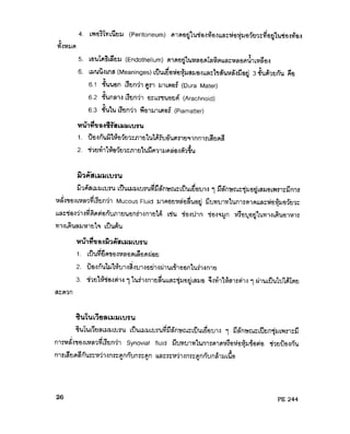 ๶Ȩ้อ๶ยื่อและเมม๶บรน