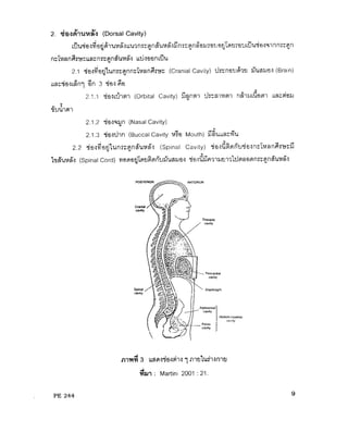 ความรู้เบื้องต้นเกี่ยวกับกายวิภาคศาสตร์และสรีรวิทยา