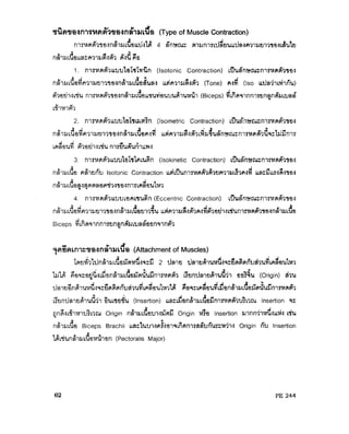 ระบบกล้ามเนื้อ