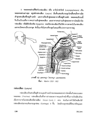 ระบบหายใจ