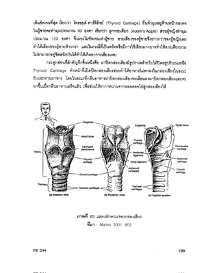 ระบบหายใจ