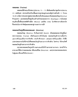ระบบหายใจ