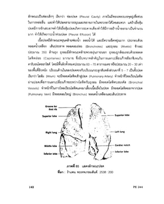 ระบบหายใจ