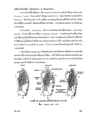 ระบบหายใจ