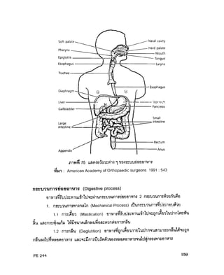 ระบบย่อยอาหาร