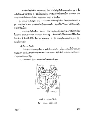 ระบบย่อยอาหาร