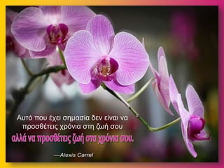 Αυτό που έχει σημασία δεν είναι να
προσθέτεις χρόνια στη ζωή σου
 