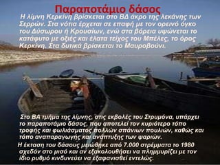 Παραποτάμιο δάςοσΗ ιίκλε Κεξθίλε βξίζθεηαη ζην ΒΓ άθξν ηεο ιεθάλεο ησλ
Σεξξώλ. Σηα λόηηα έξρεηαη ζε επαθή κε ηνλ νξεηλό όγθν
ηνπ Γύζσξνπ ή Κξνπζίσλ, ελώ ζηα βόξεηα πςώλεηαη ην
θαηάθπην κε νμηέο θαη έιαηα ηείρνο ηνπ Μπέιεο, ην όξνο
Κεξθίλε. Σηα δπηηθά βξίζθεηαη ην Μαπξνβνύλη.
Σην ΒΑ ηκήκα ηεο ιίκλεο, ζηηο εθβνιέο ηνπ Σηξπκόλα, ππάξρεη
ην παξαπνηάκην δάζνο, πνπ απνηειεί ηνλ θπξηόηεξν ηόπν
ηξνθήο θαη θσιηάζκαηνο πνιιώλ ζπάλησλ πνπιηώλ, θαζώο θαη
ηόπν αλαπαξαγσγήο θαη αλάπηπμεο ησλ ςαξηώλ.
Η έθηαζε ηνπ δάζνπο κεηώζεθε από 7.000 ζηξέκκαηα ην 1980
ζρεδόλ ζην κηζό θαη αλ εμαθνινπζήζεη λα πιεκκπξίδεη κε ηνλ
ίδην ξπζκό θηλδπλεύεη λα εμαθαληζζεί εληειώο.
 