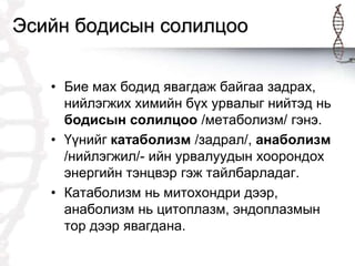 Эсийн бодисын солилцоо | PPT