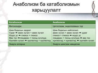 Эсийн бодисын солилцоо