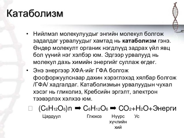 Эсийн бодисын солилцоо