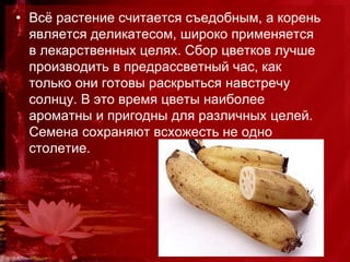 лотос | PPT | Free Download