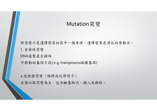 Mutation突變
※突變只是遺傳變異的其中一個原因，遺傳變異是演化的原動力。
1.自發性突變
DNA複製產生錯誤
可移動的基因片段( e.g. transposons跳躍基因)
2.受激發突變（物理或化學因子）
主要以點突變為主，包含鹼基取代、插入或移除。
 