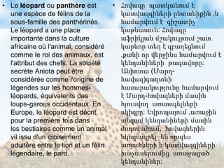 • Le léopard ou panthère est
une espèce de félins de la
sous-famille des panthérinés.
Le léopard a une place
importante dans la culture
africaine où l'animal, considéré
comme le roi des animaux, est
l'attribut des chefs. La société
secrète Aniota peut être
considérée comme l'origine de
légendes sur les hommes-
léopards, équivalents des
loups-garous occidentaux. En
Europe, le léopard est décrit
pour la première fois dans
les bestiaires comme un animal
vil issu d'un croisement
adultère entre le lion et un félin
légendaire, le pard.
• Հովազը պատկանում է
կատվազգիների ընտանիքին ,և
համարվում է գիշատիչ
կաթնասուն: Հովազը
աֆրիկյան մշակույթում շատ
կարևոր տեղ է զբաղեցնում
,քանի որ վերջինս համարվում է
կենդանիների թագավորը:
Անիոտա (Մարդ-
հավազ)գաղտնի
հասարակությունը համարվում
է Մարդ-հովազների մասին
հյուսվող առասպելների
սկիզբը: Եվրոպայում ,առաջին
անգամ կենդանիների մասին
ժողովածում, հովազներին
նկարագրել են որպես
առյուծների և կատվազգիների
խաչասերումից առաջացած
կենդանիներ:
 
