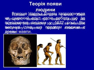 Вперше Чарльз Дарвін запропонував
на широкий осуд свою роботу що до
походження людини у 1872 році. Він
висунув ідею, що предком людини є
древні мавпи..
Пізніше невідомий доти вчений, Карл
Фульротт, заявив про свою знахідку на
відомому Берлінському засіданні, він знайшов
величезну черепну коробку незвичайної
істоти.
Теорія появи
людини
 