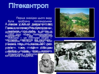 Перша знахідка цього виду
була зроблену голландським
вченим Еженом Дюбуа у 1891
році на острові Ява. Спочатку він
знайшов кутні зуби, а потім у
1892 році череп. Найважливіша
знахідка – це стегнова кістка –
розміром 45,5см, завдяки якій
можна було встановити зріст
істоти, він становив 170 см.
Дюбуа назвав свою знахідку
пітекантроп – мавполюдина.
А також у ХХ ст. недалеко від
Пекіна, в печері Чжоукоудянь ,
археологи зробили ще одне
відкриття. Там знайшли
частини скелетів 44 особин ,
різного віку, які жили 360 тис.
років тому. Ці знахідки
отримали назву синантроп –
китайська людина.
 