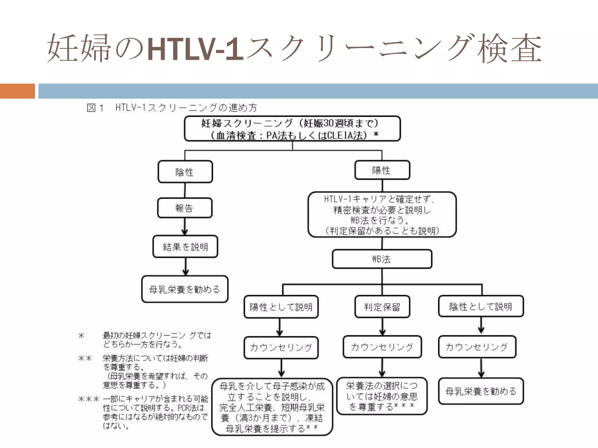 妊婦のHTLV-1スクリーニング検査
 