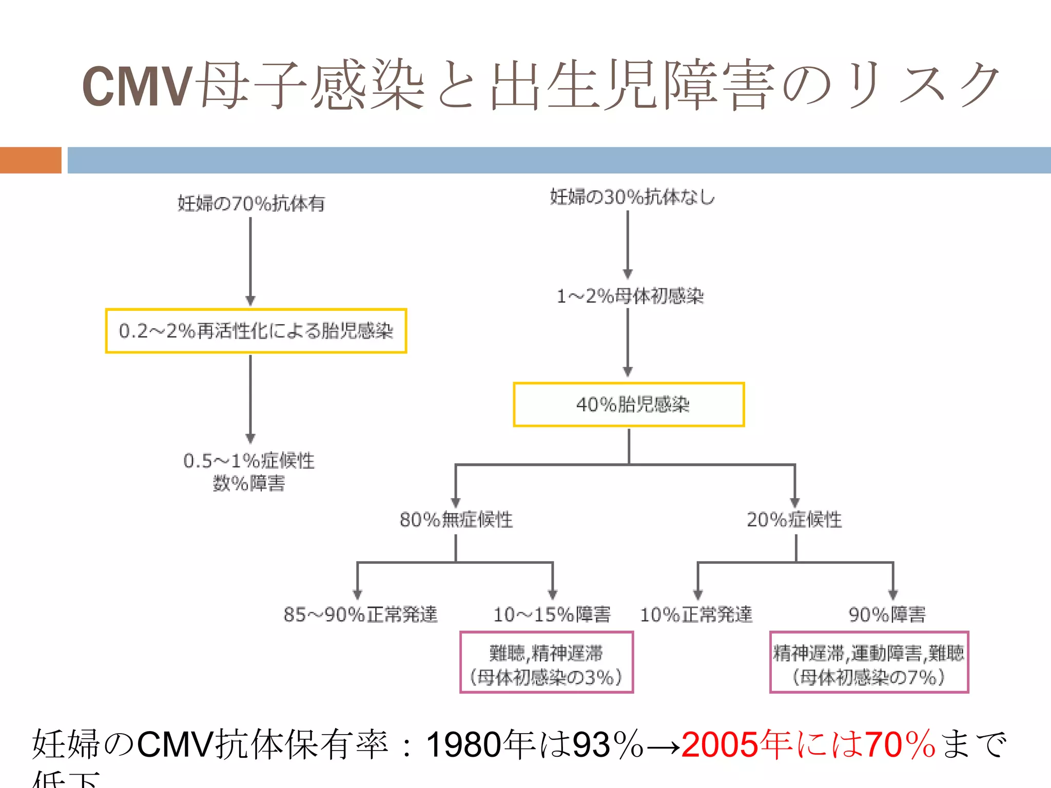 CMV母子感染と出生児障害のリスク
妊婦のCMV抗体保有率：1980年は93％→2005年には70％まで
 