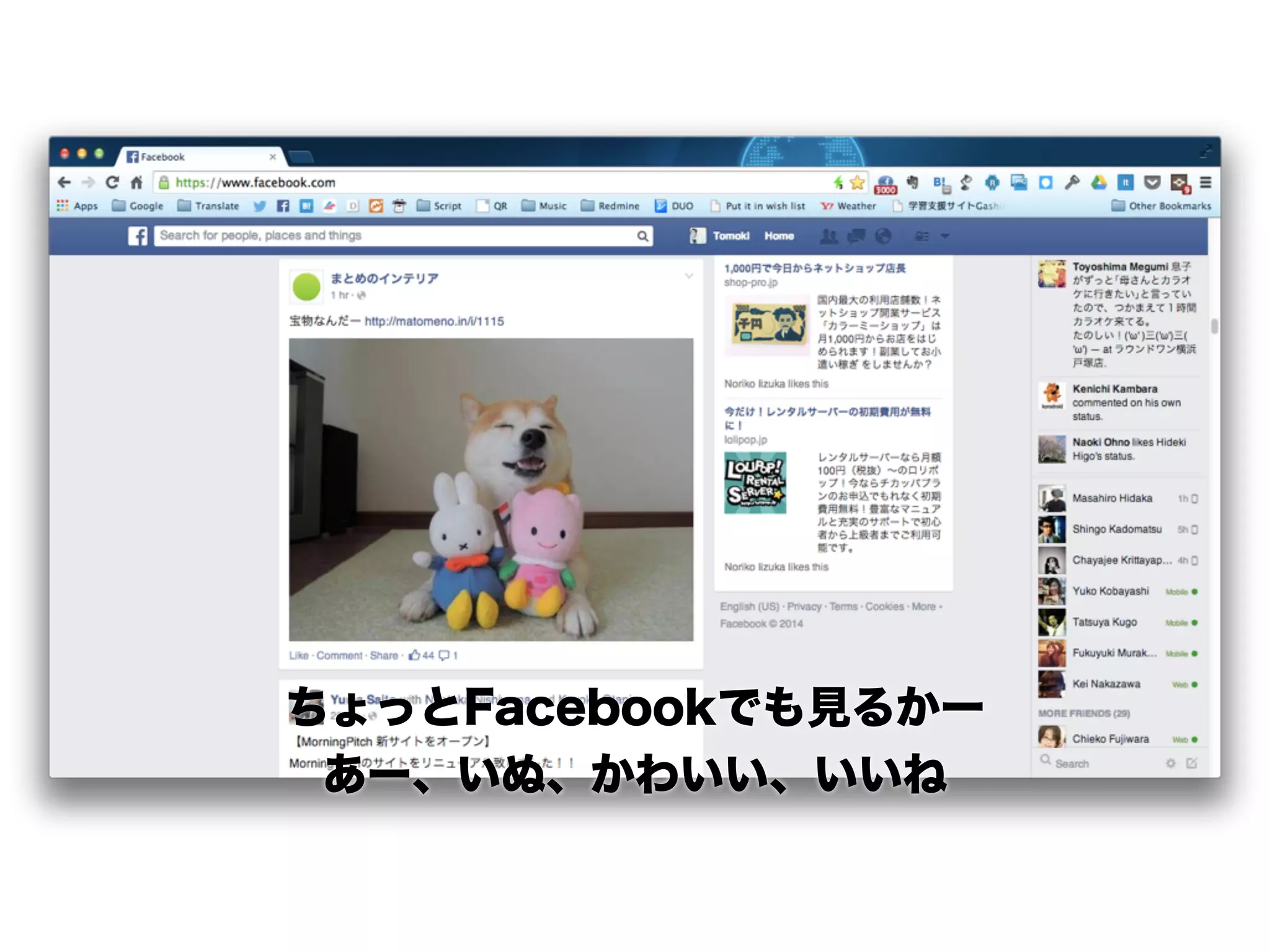 ちょっとFacebookでも見るかー
あー、いぬ、かわいい、いいね
 