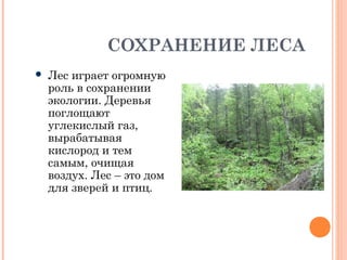 СОХРАНЕНИЕ ЛЕСА
 Лес играет огромную
роль в сохранении
экологии. Деревья
поглощают
углекислый газ,
вырабатывая
кислород и тем
самым, очищая
воздух. Лес – это дом
для зверей и птиц.
 