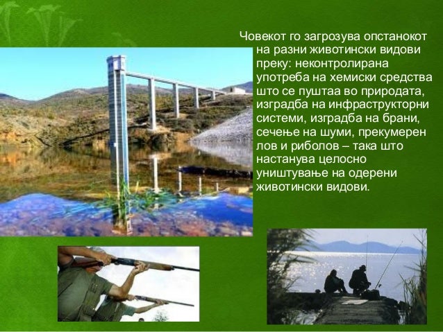 загадување и заштита на животната средина