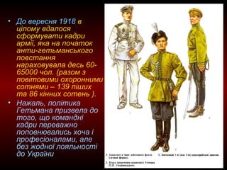 • До вересня 1918 в
цілому вдалося
сформувати кадри
армії, яка на початок
анти-гетьманського
повстання
нараховувала десь 60-
65000 чол. (разом з
повітовими охоронними
сотнями – 139 піших
та 86 кінних сотень ).
• Нажаль, політика
Гетьмана призвела до
того, що командні
кадри переважно
поповнювались хоча і
професіоналами, але
без жодної лояльності
до України
 
