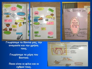Γνωρίσαμε τα δόντια μας, την
ονομασία και την χρήση
τους.
Γνωρίσαμε τα μέρη του
δοντιού.
Ποιοι είναι οι φίλοι και οι
εχθροί τους.
 
