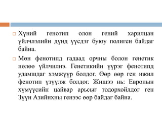  Хүний генотип олон гений харилцан
үйлчлэлийн дүнд үүсдэг буюу полиген байдаг
байна.
 Мөн фенотипд гадаад орчны болон генетик
нөлөө үйлчилнэ. Генетикийн үүрэг фенотипд
удамшдаг хэмжүүр болдог. Өөр өөр ген ижил
фенотип үзүүлж болдог. Жишээ нь: Европын
хүмүүсийн цайвар арьсыг тодорхойлдог ген
Зүүн Азийнхны генээс өөр байдаг байна.
 