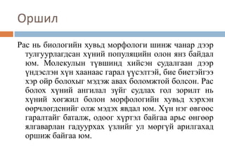 Оршил
Рас нь биологийн хувьд морфологи шинж чанар дээр
тулгуурлагдсан хүний популяцийн олон янз байдал
юм. Молекулын түвшинд хийсэн судалгаан дээр
үндэслэн хүн хаанаас гарал үүсэлтэй, бие биетэйгээ
хэр ойр болохыг мэдэж авах боломжтой болсон. Рас
болох хүний ангилал зүйг судлах гол зорилт нь
хүний хөгжил болон морфологийн хувьд хэрхэн
өөрчлөгдснийг олж мэдэх явдал юм. Хүн нэг өвгөөс
гаралтайг баталж, одоог хүртэл байгаа арьс өнгөөр
ялгаварлан гадуурхах үзлийг ул мөргүй арилгахад
оршиж байгаа юм.
 