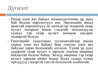 Дүгнэлт
 Расын олон янз байдал зохицолдолгооны үр дүнд
бий болсон өөрчлөлтүүд юм. Эволюцийн явцад
ашигтай өөрчлөлтүүд нь ивээгдсээр тодорхой газар
нутагт тохирсон шинж тэмдгийг нөхцөлдүүлж
хүмүүс тэр газар нутагт зохицож амьдрах
чадвартай болсон.
 Генетикийн судалгааны тусламжтайгаар расын
гаднах олон янз байдал биш генетик олон янз
байдлыг харах боломжийг олгосон. Үүний үр дүнд
тодорхой газар нутагт л тархсан генетик өвөрмөц
байдалтай болсон байна. Энэхүү өвөрмөц тэр газар
нутагт тархсан өвчин болон бусад гадаад хүчин
зүйлүүдэд тэсвэртэй гентэй болсонтой холбоотой.
 