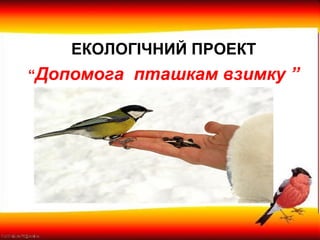 ЕКОЛОГІЧНИЙ ПРОЕКТ
“Допомога пташкам взимку ”
 