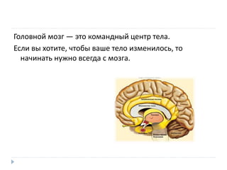 Головной мозг — это командный центр тела.
Если вы хотите, чтобы ваше тело изменилось, то
начинать нужно всегда с мозга.
 
