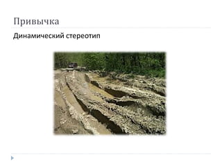 Привычка
Динамический стереотип
 