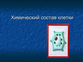 Химический состав клеткиХимический состав клетки
 